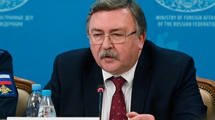 Ульянов Ресейдің еуропалық энергетикалық нарықтан шығарылуына реакция білдірді