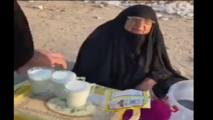 Ирактық қарт әйелдің бір адамдық шатыры