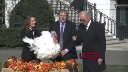 Байден күркетауықтармен де сөйлеседі