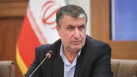 Иран Атом қуаты ұйымының басшысы: Иранға қарсы қарар қабылдау мәселелерді шешуге көмектеспейді