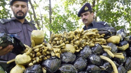  Сауд Арабиясы – Батыс Азияның есірткі орталығы