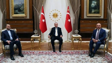 Ердоған: Теһран мен Анкараның қарым-қатынасы маңызды  

