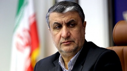 Иран Атом қуаты ұйымының басшысы: Хузистан облысында Карун атом стансасы салынады