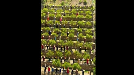 Паведе «Мың деф» фестивалі  өтті
