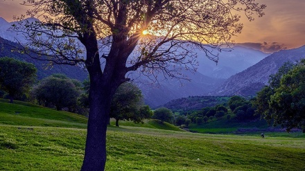 Суреттер сөйлейді: Сепидашт Анаран алқабының көктемгі табиғаты