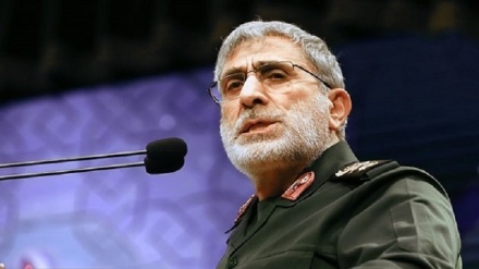 Сардар Қаани: Қарсыласу майданы аймақта кең оське айналды