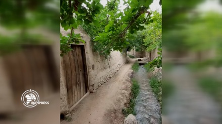 Иран: Йезд облысындағы Тәфт қаласының көшелері