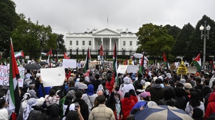 Палестинаны жақтаушылар АҚШ астанасында митинг өткізді