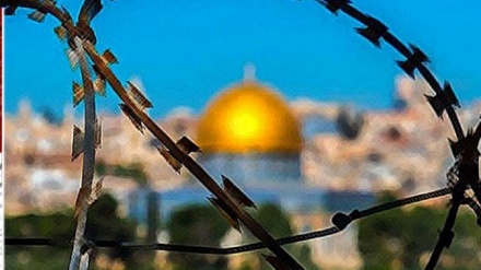 Палестина – ислам үмбетінің басты мәселесі (11)