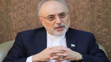 Иран Атом қуаты ұйымының бұрынғы басшысы: Сионистік режимнің ядролық қаупі халықаралық ұйымдардың енжарлығынан туындап отыр
