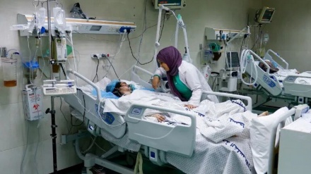 Газадағы жалғыз онкологиялық диспансер жабылды 