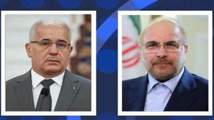 Иран мен Алжир Парламенттерінің төрағалары Газа секторында сионистердің қылмыстарын тоқтату керегін баса айтты