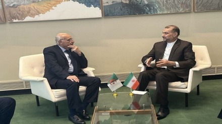 Иран мен Алжирдің Сыртқы істер министрлері Израильдің соғыс қылмыстарын тез арада тоқтату керегін баса айтты