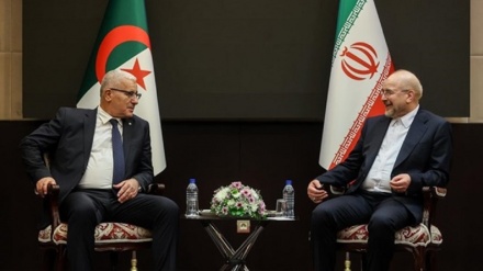 Қалибаф: Иран мен Алжирдің парламентаралық қатынасының дамуы екі елдің экономикалық дамуына септігін тигізеді