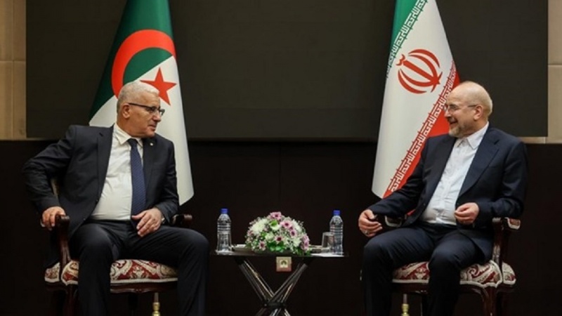 Қалибаф: Иран мен Алжирдің парламентаралық қатынасының дамуы екі елдің экономикалық дамуына септігін тигізеді