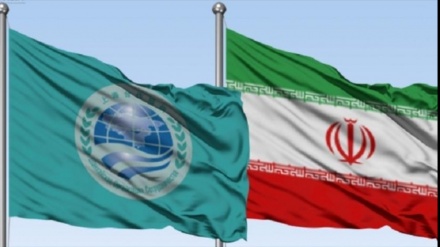 Иранның Шанхай ынтымақтастық ұйымына мүше елдермен мұнайдан тыс саудасының арту себептері