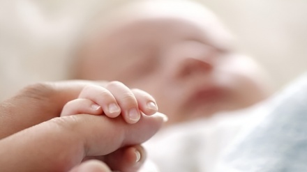 Ирандағы медицина ғылымының кереметі; әлемдік деңгейдегі бедеулікті емдеу