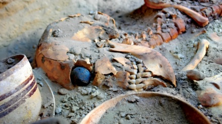 Әлемдегі алғашқы жасанды көз қай жерде табылды?