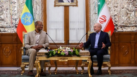 Иран және Эфиопия; Парламенттік және экономикалық қатынастарға жаңа қадамдар