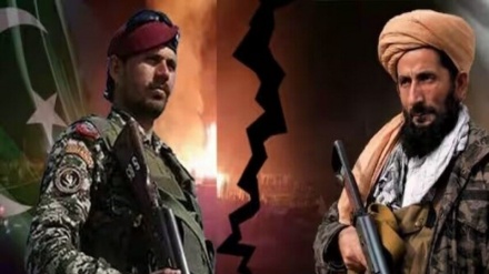 БҰҰ-ның жаңа есебі: Талибанның терроризммен күрес туралы мәлімдемелері түсініксіз