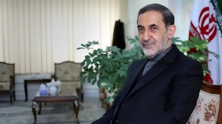 Велаяти: Иран халқы өзінің бірнеше мыңжылдық тарихы бойы жерінің аумақтық тұтастығын қорғап келді; Әлем Трампқа қарсы