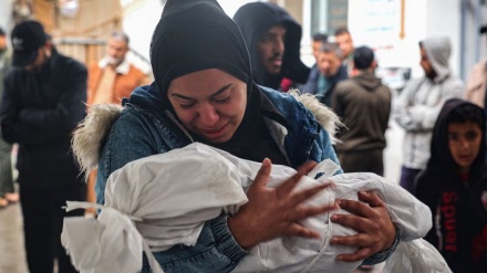 Газадағы Адам құқықтары орталығы: Атысты тоқтату Израиль басқыншылығының алдын алмайды, ол геноцидті басқару құралы