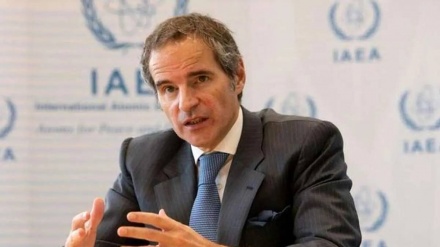 Гросси: Иранда ядролық қару шығарылу туралы құжат жоқ