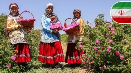 Иранның ауыл шаруашылығы өндірісінің 40 жылда 500%-ға өсуі; Лавров: Эпштейн ісі Батыстың зұлым жүзін ашты 