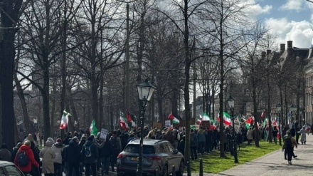 Африка мен Голландиядағы Иранға қолдау толқыны; Халық АҚШ пен Израилдің агрессиясын айыптады