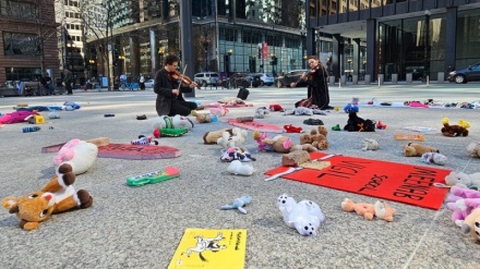 Иранның Минаб балаларының үні Америкада естілді