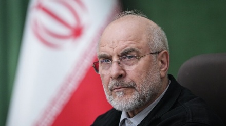 Калибафтың Трапмтың өтірік сөздеріне реакция білдірді: Иран халқы  агрессорларды толық жазалауды талап етеді     